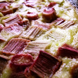 tarte-a-la-rhubarbe-facile-et-rapide