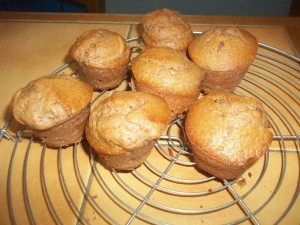 3115536859_1_3_G2DF7A4d